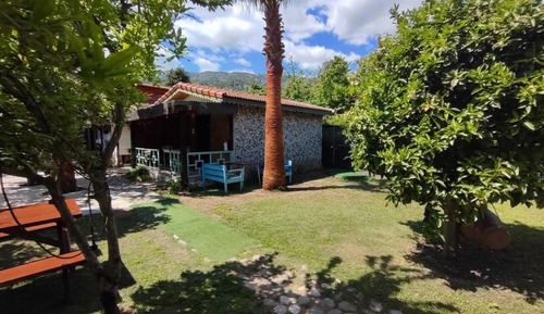 Habitación básica, 1 cama doble (Orkide)
