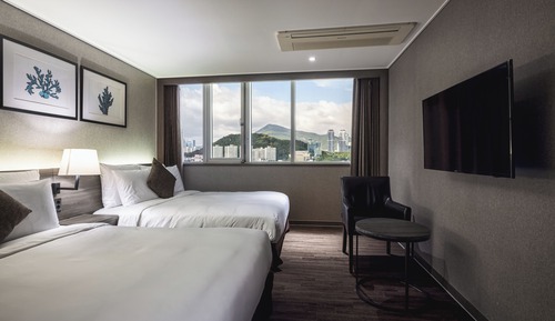 Deluxe Twin, City View