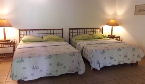 Habitación doble, 1 habitación, no fumadores, vistas al jardín