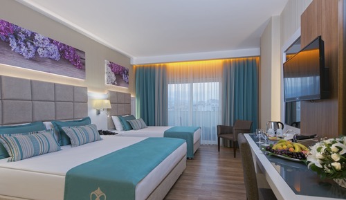 Habitación estándar (Without Balcony)