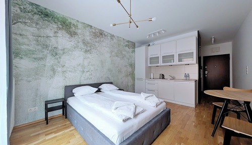 Estudio estándar, 1 cama de matrimonio, cocina básica