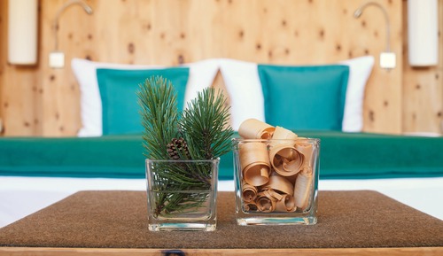 Habitación doble, vistas a la montaña