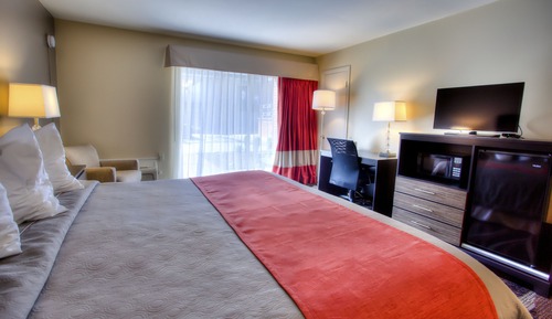 Habitación individual estándar, 1 cama de matrimonio grande, no fumadores