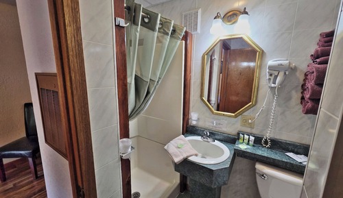Habitación individual básica (29)