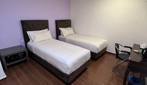 Habitación ejecutiva (Twin)