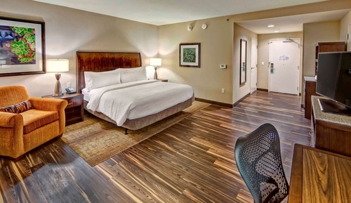 ADA Accessible, Room, 1 King Bed, Accessible, Bathtub