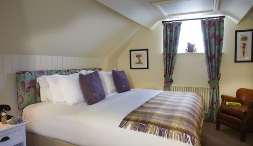 Habitación Deluxe con 2 camas individuales, baño privado