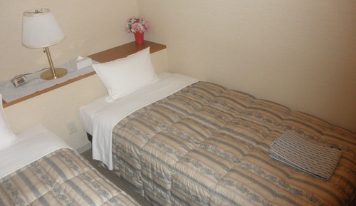 Habitación básica con 2 camas individuales, fumadores