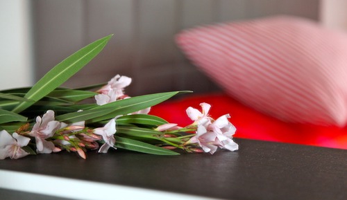 Casa móvil estándar, 2 habitaciones