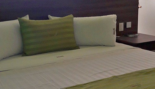 Habitación básica, 1 cama de matrimonio grande