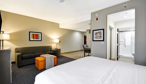 Suite, 1 cama de matrimonio grande, accesible para personas con discapacidad (Hearing)