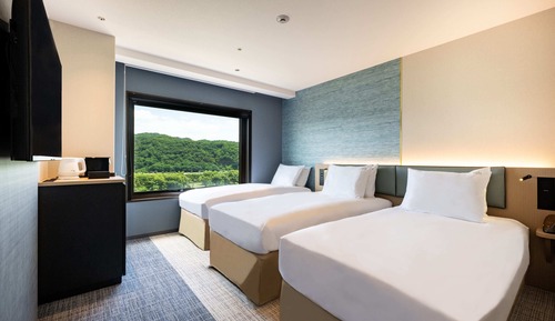 Habitación estándar, 2 camas individuales (up to 3 guests)