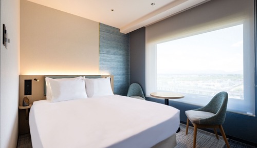 Habitación, 1 cama doble (Cosy)