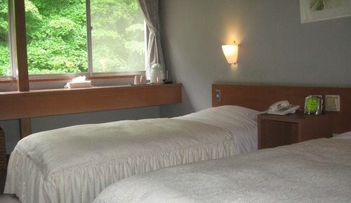 Habitación con 2 camas individuales