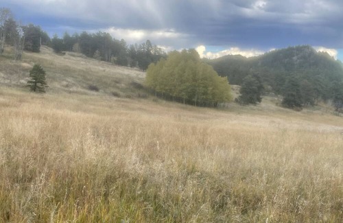 Nederland Cabina | Slice of Wild Heaven: Magical, Cozy, Forest Cabin @ the Top of the World. Views