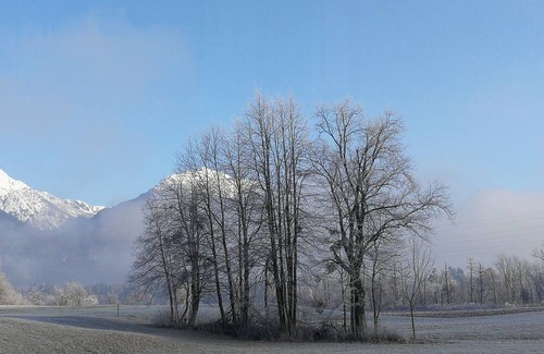 Bled Apartamento | The Apartments Kristan are located in Bled, at the edge of the lovely meadow fro