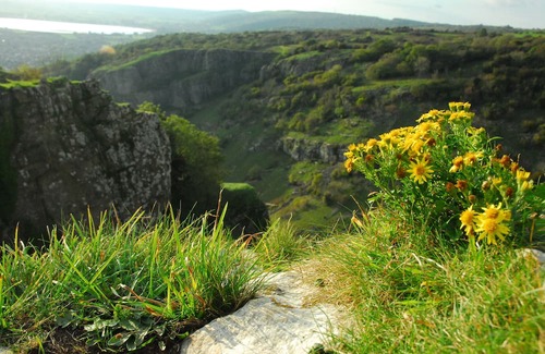 Cheddar Cabaña | Bradley Cross Farm, Shepherds Cottage