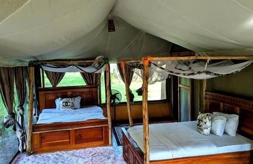 Mikumi Cama Y Desayuno | Double G Safaris and Camp Mikumi