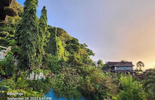 Port of Spain Condominio | Flower Of Joy Wellness Villa