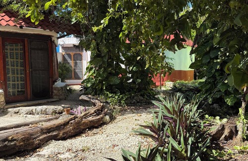 Centro de la ciudad de Tulum Cabina | Beautiful treehouse in the heart of Tulum