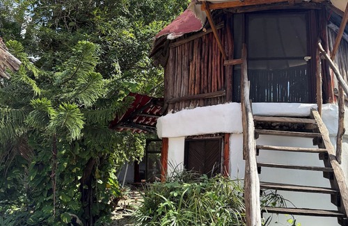 Centro de la ciudad de Tulum Cabina | Beautiful treehouse in the heart of Tulum
