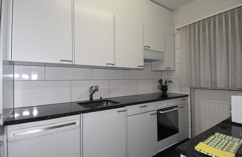 Orselina Apartamento | Large apartment on the 1st floor for 1-2 persons.