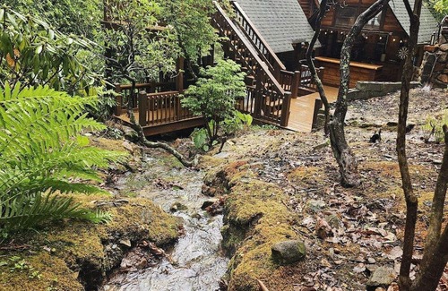 Ellijay Cabina | Creekside Cottage- Cozy 3-bedroom cabin in adorable Ellijay GA