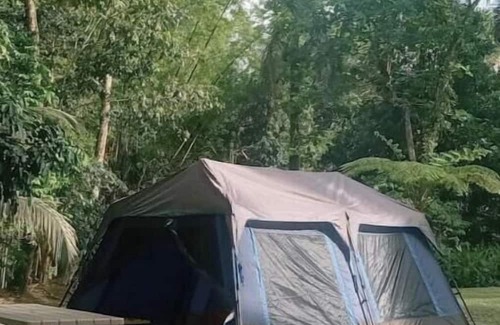 Sabana Casa | Camping Tent for 4 peoplenn