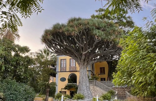 Guimar Casa | Buen Retiro Mansion (house of music and sound)