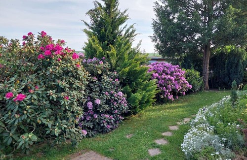 Albersdorf Casa | Ferienhaus Ernst - Ferienhaus