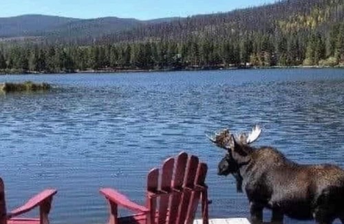 Trapper Creek Casa | Lake View Primitive Cabin-HCRL