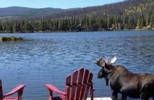 Trapper Creek Casa | Lake View Primitive Cabin-HCRL