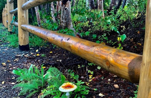 Trapper Creek Apartamento | Bunker Lodge Apartment-HCRL