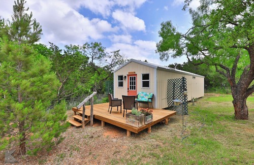 Buffalo Gap Cabina | Secluded cabin, "The Lady" on Christmas tree farm, near Perini Ranch Steakhouse!