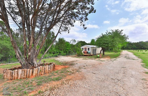 Buffalo Gap Cabina | Secluded cabin, "The Lady" on Christmas tree farm, near Perini Ranch Steakhouse!