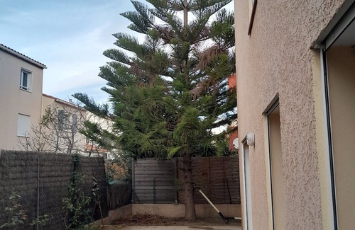 Moulin a Vent Apartamento | Apartment with garden close to beach roads and town center