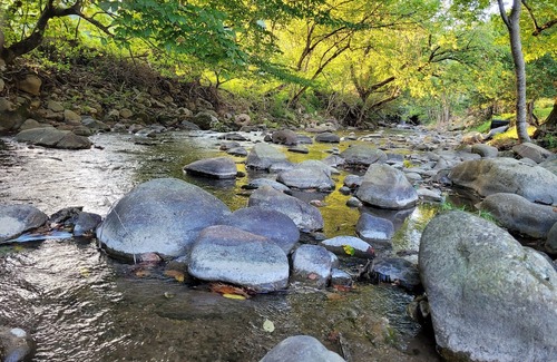 Del Rio Cabina | Enjoy Mother Nature and Spring at The Spot!