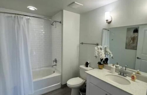 Downtown Hollywood Condominio | Luxury Condo in Downtown Hollywood