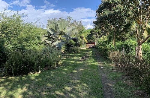 Palma Apartamento | Studio cabin with AC & WiFi located in a Tropical Paradise