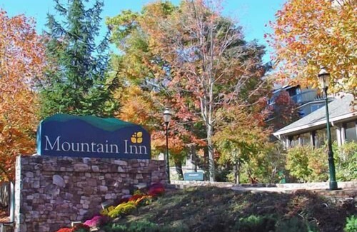 Wintergreen Condominio | Mountain Inn Studio 96 with Wintergreen Advantage