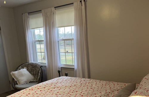 Travelers Rest Casa | House in the country but close to town