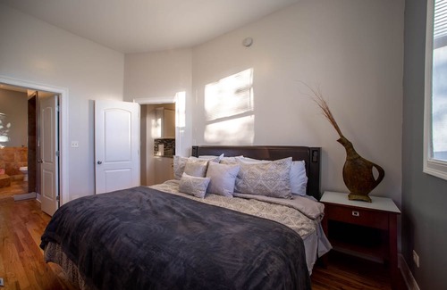 Woodlawn Apartamento | This Greystone is near the University of Chicago, the Museum of Science