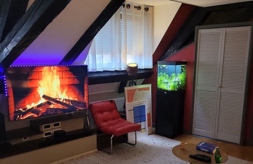 Soultz-Haut-Rhin Apartamento | Appartement Atypique