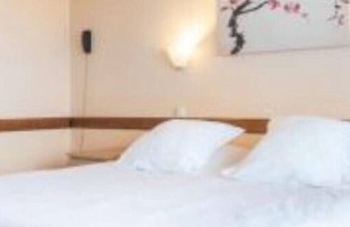 Bellerive-sur-Allier Apartamento | Studio Standard - 1 LIT Double
