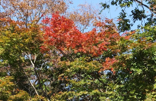 Nasu Alquiler De RV | Grace With private openair bath WeekdaysCapaci / Nasu county Tochigi
