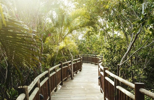 Centro de Cancún Complejo | The Bliss at Vidanta Riviera Maya