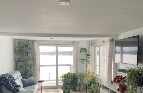 Windham Cabaña | New for 2024! Pet-friendly cottage on the edge of Highland Lake in Windham!