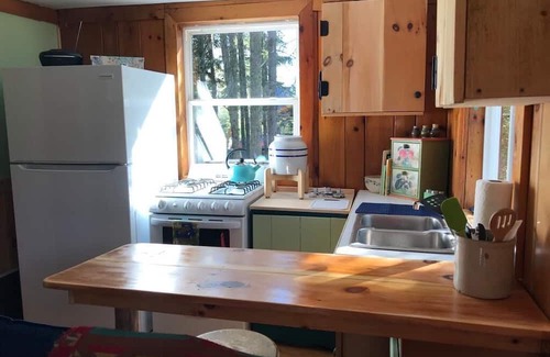Bloomingdale Cabina | Ten/ twenty minutes to Lake Placid, Whiteface Mnt. Saranac Lake!