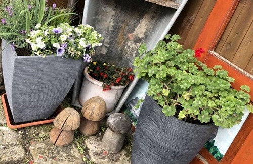 Rathmannsdorf Apartamento | Holidays in the circumcourse and