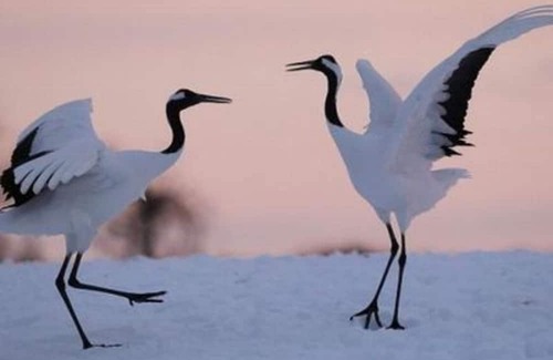 Kushiro Casa | Popular Last minute reservations OK Standard s / Kushiro City Hokkaidō